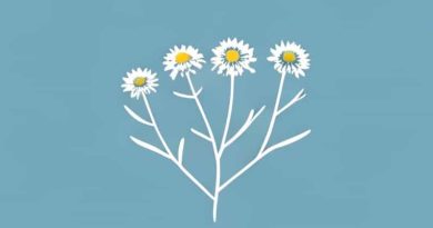 Is Blue Tansy Safe During Pregnancy