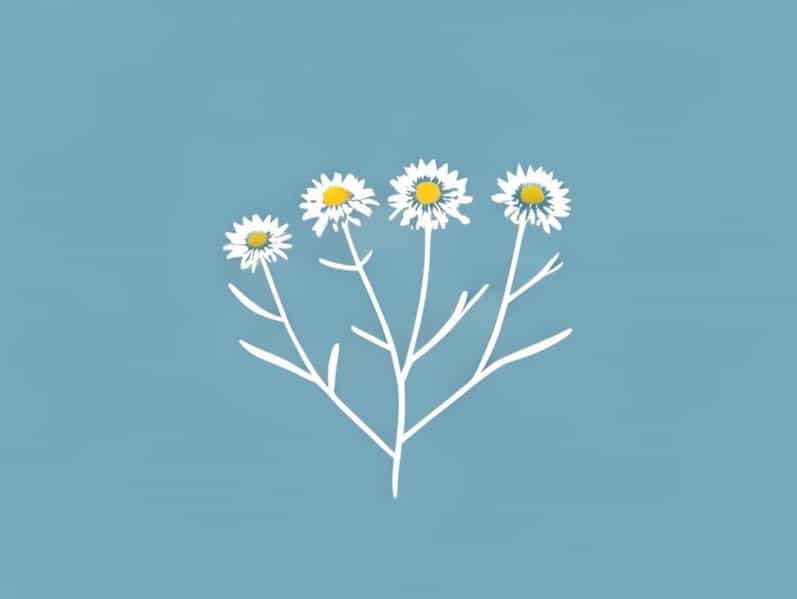 Is Blue Tansy Safe During Pregnancy