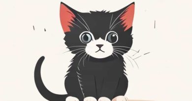 Is It Normal For Kittens To Be Skittish