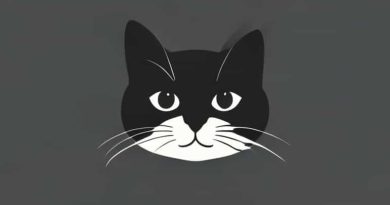 Is La Chatelaine A Good Brand