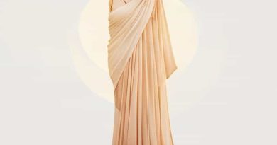 Is Organza Saree Easy To Wear