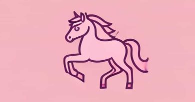 Is Pink Pony Club About Stripping