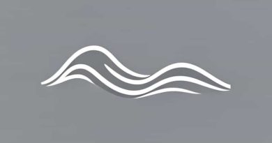 Is This Wave Transverse Or Longitudinal