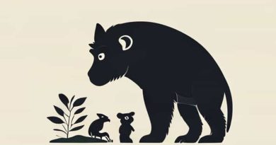 Let On About Primate Outside And Ruminant