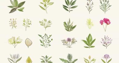 List Of Aromatic Plants And Their Uses