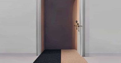 Lvp To Carpet Transition In Doorway