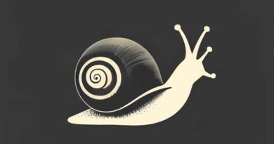 Memoir Of A Snail Where To Watch