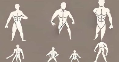 Muscle Contraction Process Step By Step