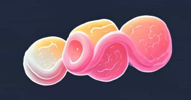 Name The Cells Found In Adipose Tissue