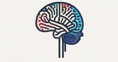 Neuroimaging Studies On Autobiographical Memory Show That