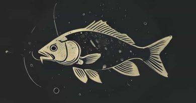 Nitty Gritty Dirt Band Fishin In The Dark