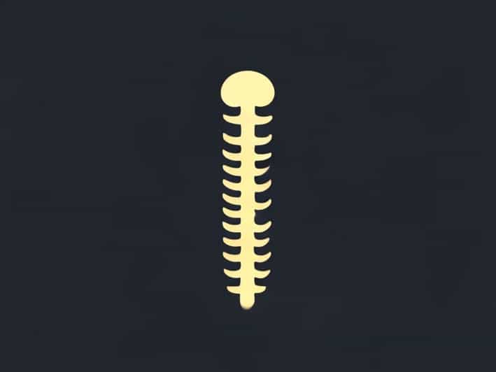 Opll Ossification Of The Posterior Longitudinal Ligament