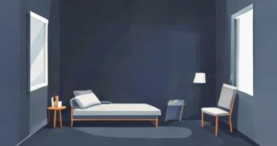 Room Familiarization Techniques For The Blind