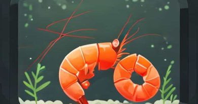 Should I Leave Shrimp Molt In Tank