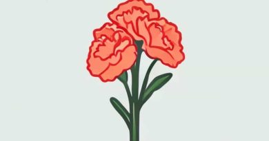 Side Effects Of Carnation Instant Breakfast