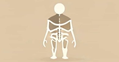 The Difference Between Intramembranous And Endochondral Ossification