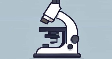 The Function Of Coarse Adjustment In Microscope