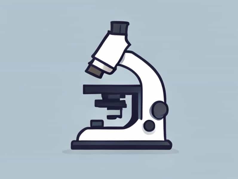 The Function Of Coarse Adjustment In Microscope