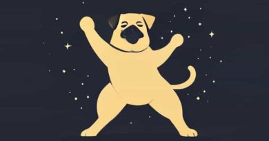 The Night The Pugilist Learned How To Dance