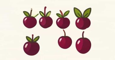 Value Added Products Of Mulberry And Silkworm Ppt