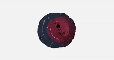 What Are The Stages Of A Bruise