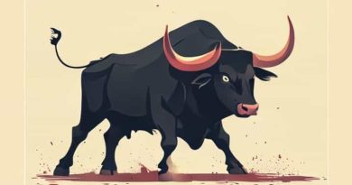 What Happens If A Bull Wins A Bullfight