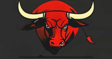 What Happens To The Bull After A Bullfight