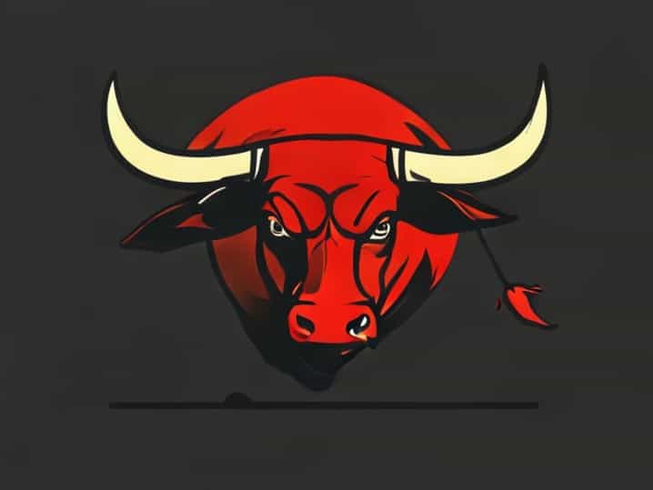 What Happens To The Bull After A Bullfight