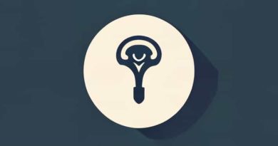 What Is A Premedical Post Baccalaureate Degree