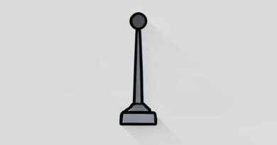 What Is A Sentence For Filibuster