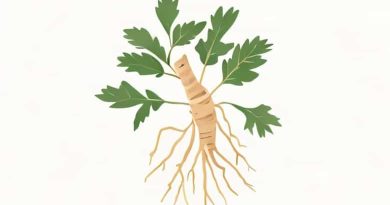 What Is Burdock Root Good For