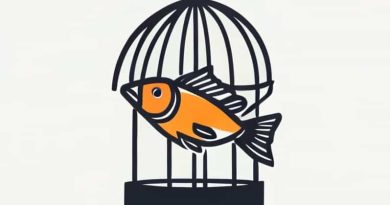 What Is Fish In A Birdcage About