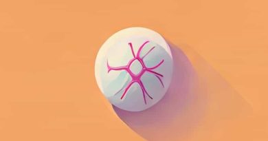 What Is Measles Mumps And Rubella