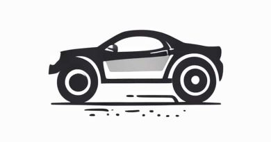 What Is Mudguard In A Car