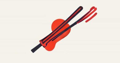 What Is The Definition Of Fiddle