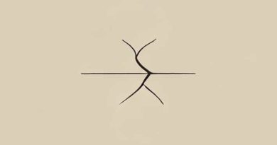 What Is The Division Cleavage Furrow Appears