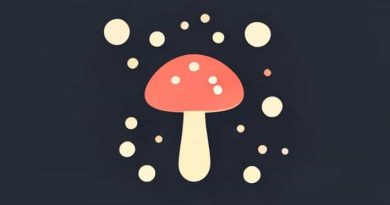 What Is The Treatment For Fungal Infection