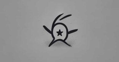 What To Do If You Get Swatted