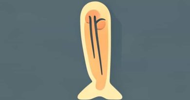 Why Does My Knee Feel Creaky