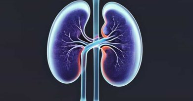 X Ray Kidney Ureter Bladder Cpt Code