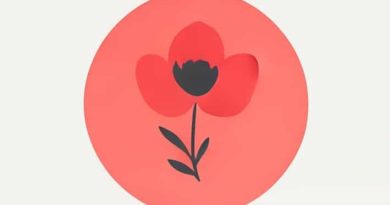 Xem The Perks Of Being A Wallflower