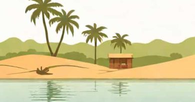 A Distributary On The Ganga Brahmaputra Delta