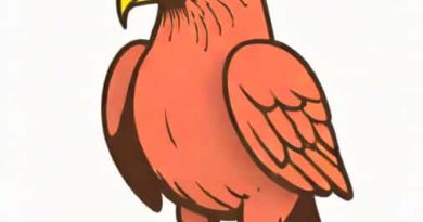 Birdman Or The Unexpected Virtue Of Ignorance