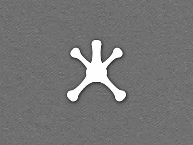 Cartilaginous Joints Are Connected By Quizlet