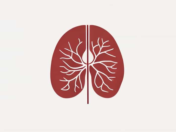 Cavity Between The Parietal And Visceral Pleura