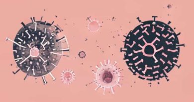 Cells That Engulf Destruct And Digest Pathogens