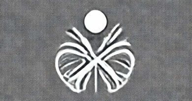 Chronic Inflammatory Demyelinating Polyneuropathy