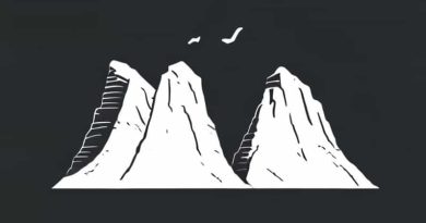 Cliffsnotes The 21 Irrefutable Laws Of Leadership