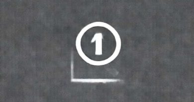 Combined Declaration Of Use And Incontestability