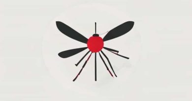 Dengue Fever Is Caused By Anopheles Mosquito